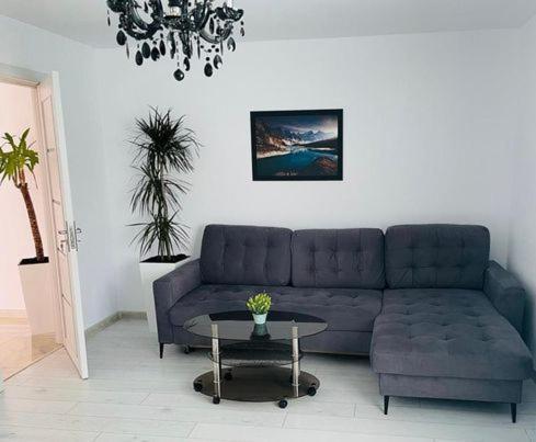 קריובה Pinului Residence Apartment מראה חיצוני תמונה